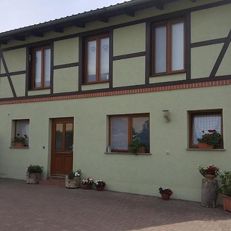Ferienhaus Am Stadtpark Ballenstedt Εξωτερικό φωτογραφία